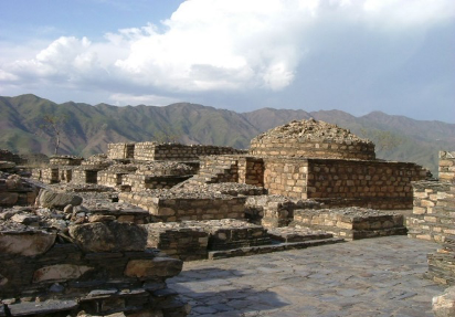 Picture1